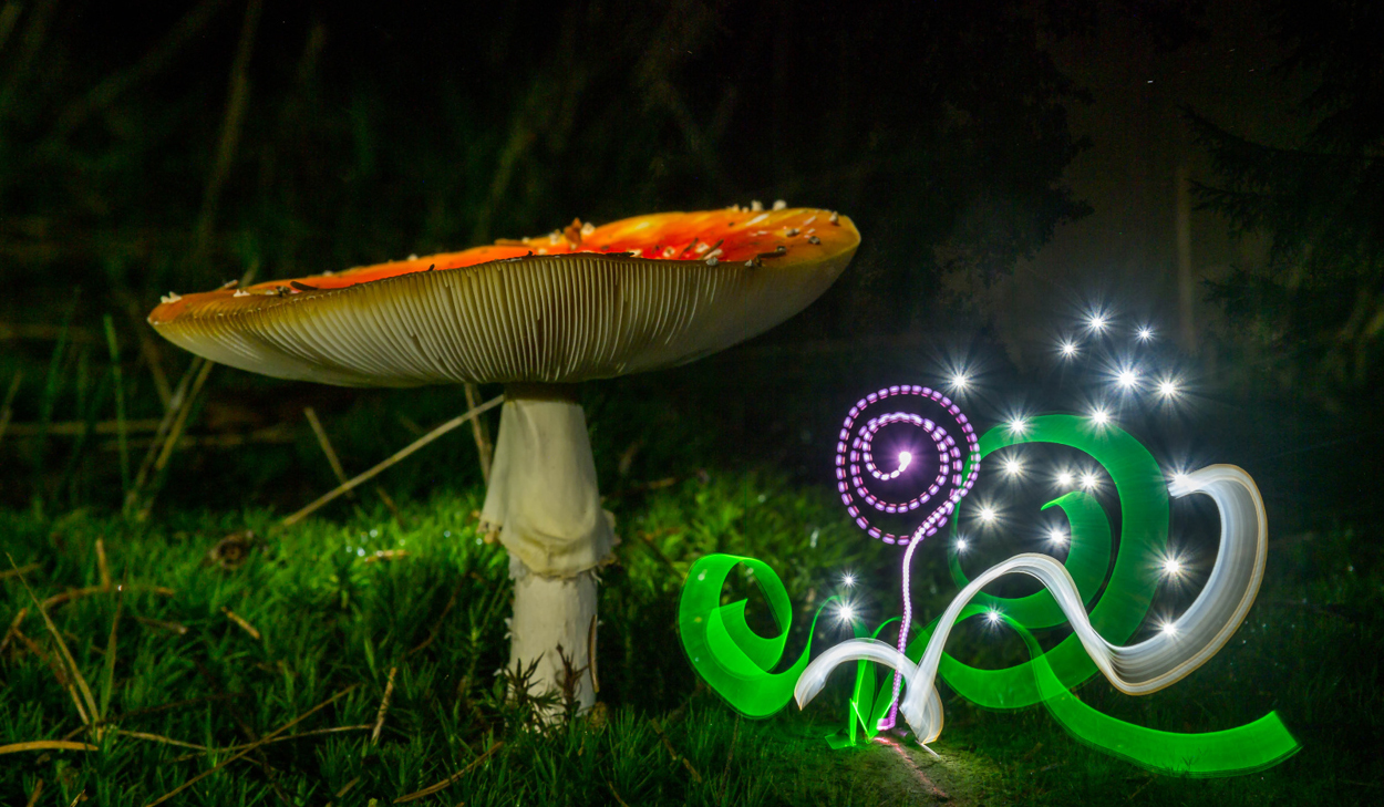 PA20AT_Newsletter_Vorlage4