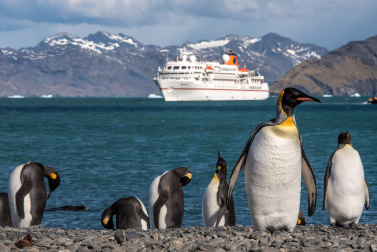 Photo+Adventure verstärkt Tourismusspektrum massiv und setzt mit dem Thema Kreuzfahrt einen attraktiven neuen Reiseschwerpunkt