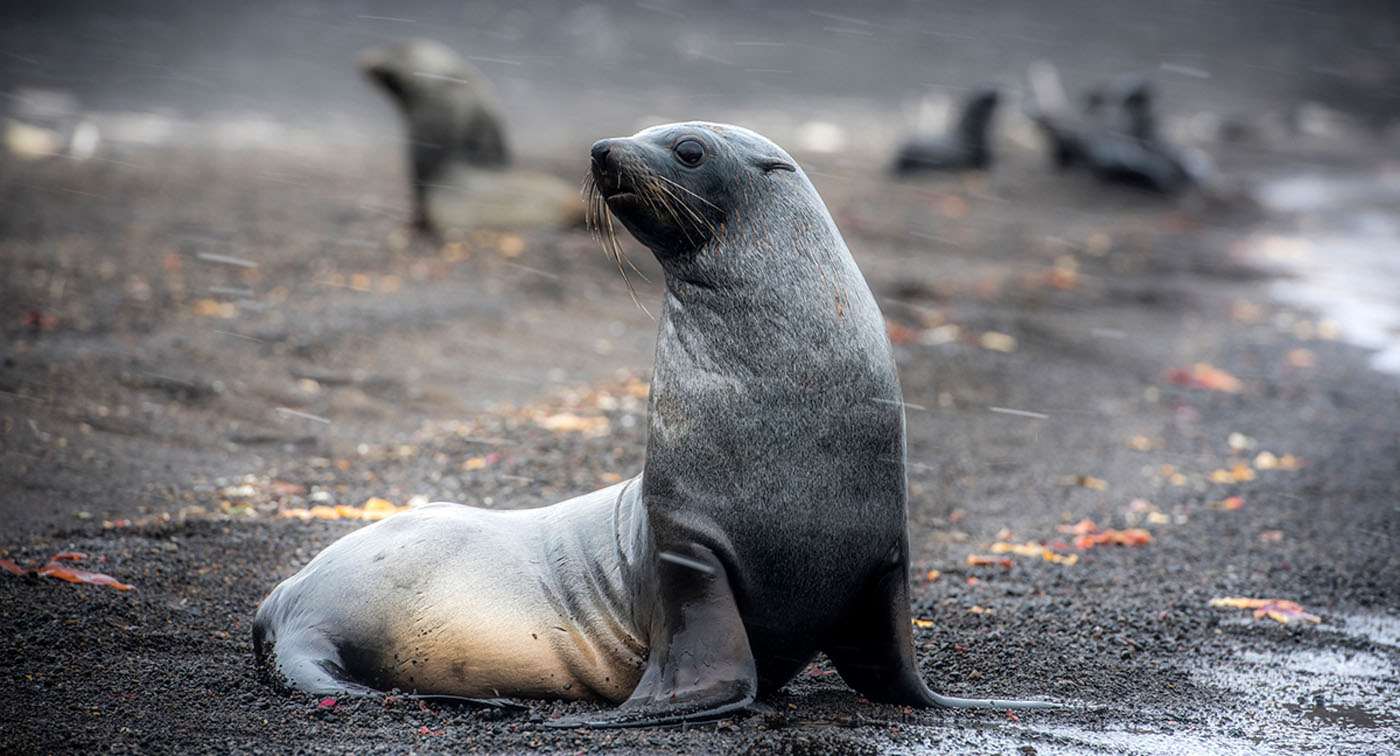 Ruslan Eliseev_2015-16_DSC_4844.jpg