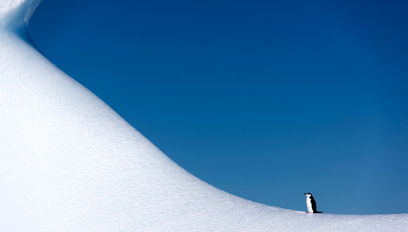 Ruslan Eliseev_2015-16_DSC_3519.jpg