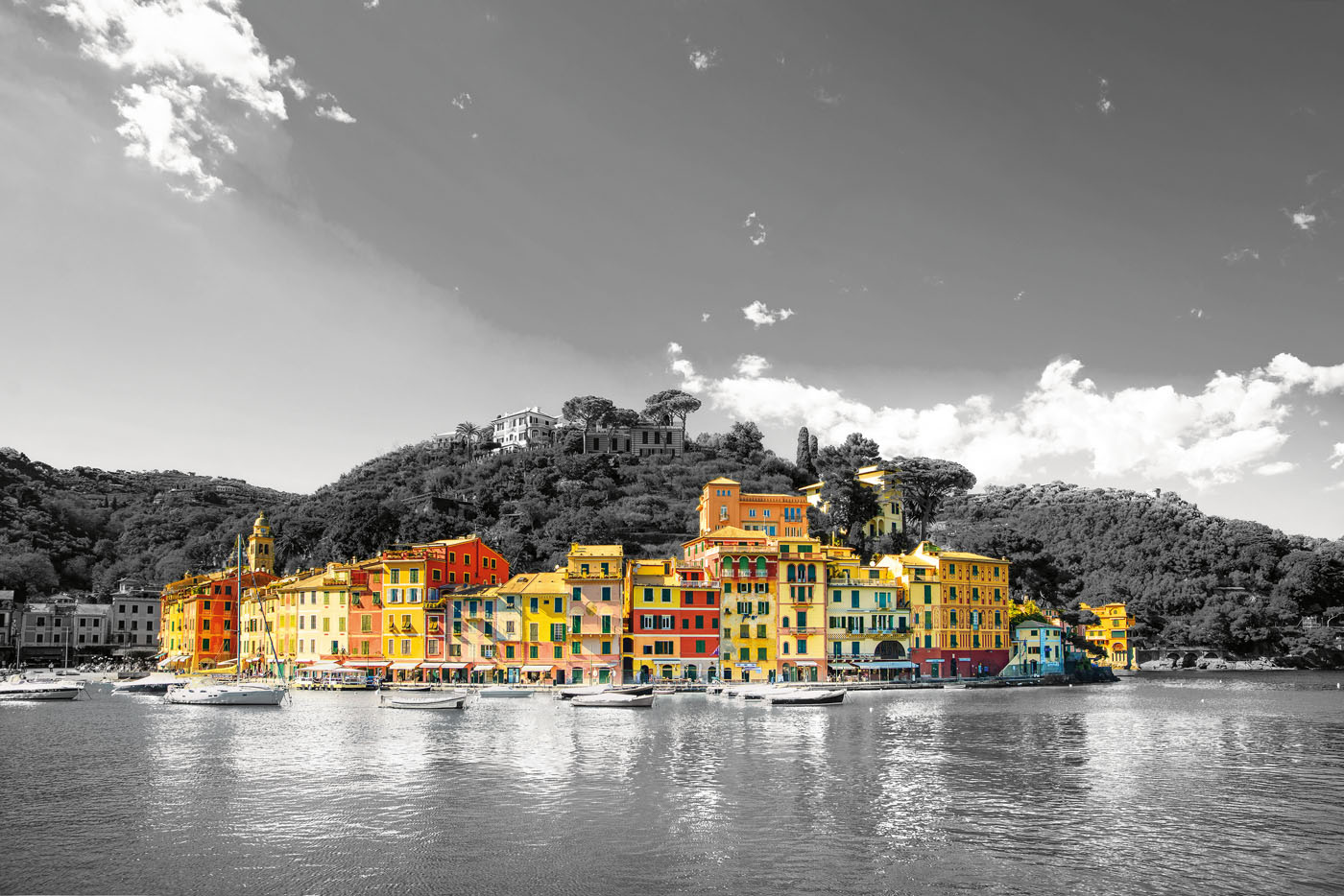 TS-494308433-1_Portofino