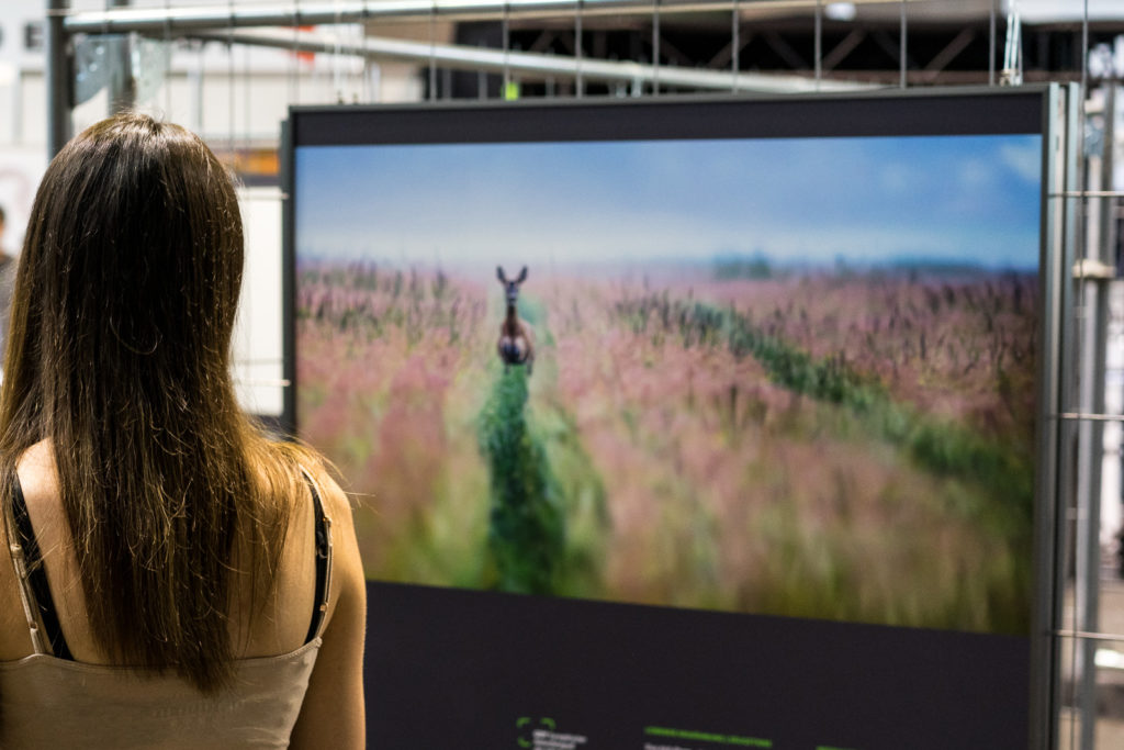 Große Fotoausstellung der GDT Große Fotoausstellung der GDT