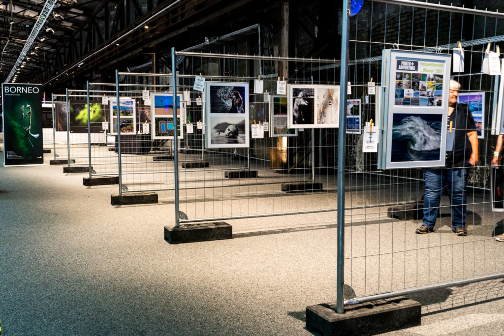 Jede Menge Fotoausstellungen Jede Menge Fotoausstellungen