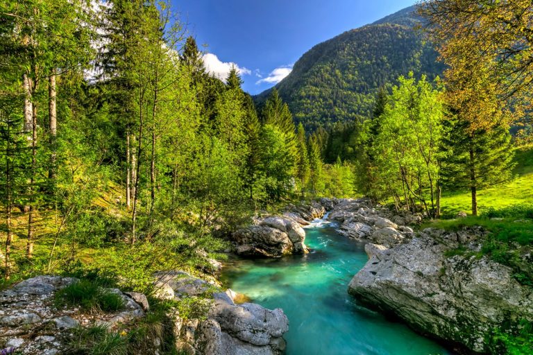 Slowenien: Im Reich von Steinbock, Gams und Auerhahn