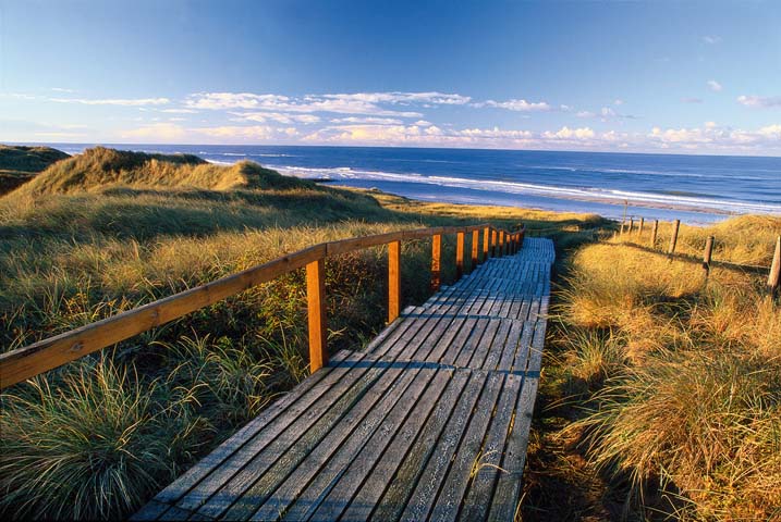 Lichtinsel Sylt_Bolenweg