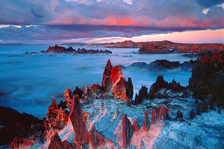 Popp-Hackner_Landschaften_Tasmanien-Tarkine-Coast_Australia