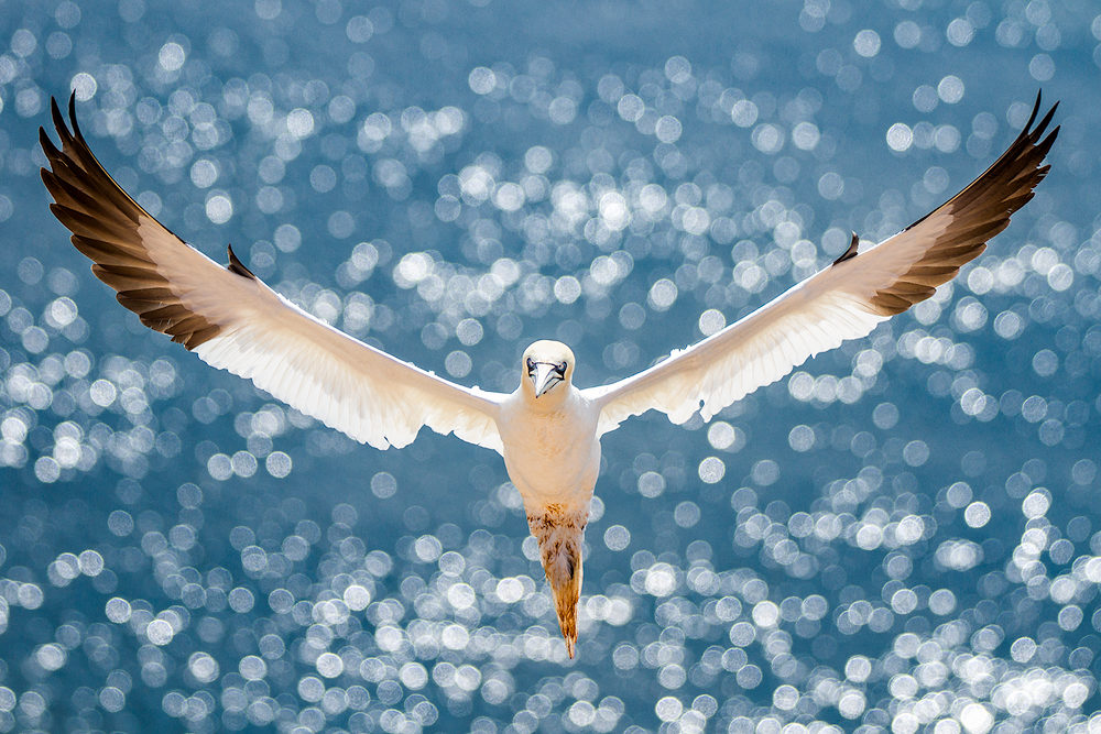 7. Platz - Robert Sommer Die Sieger des "I AM FREE" Fotowettbewerbs - Photo+Adventure