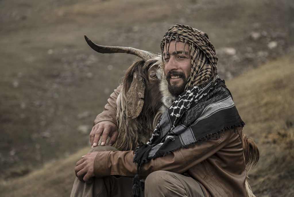 Tier-und Menschenliebe "Grenzenlos" - Die Siegerbilder des Wettbewerbs 2018 - Photo+Adventure