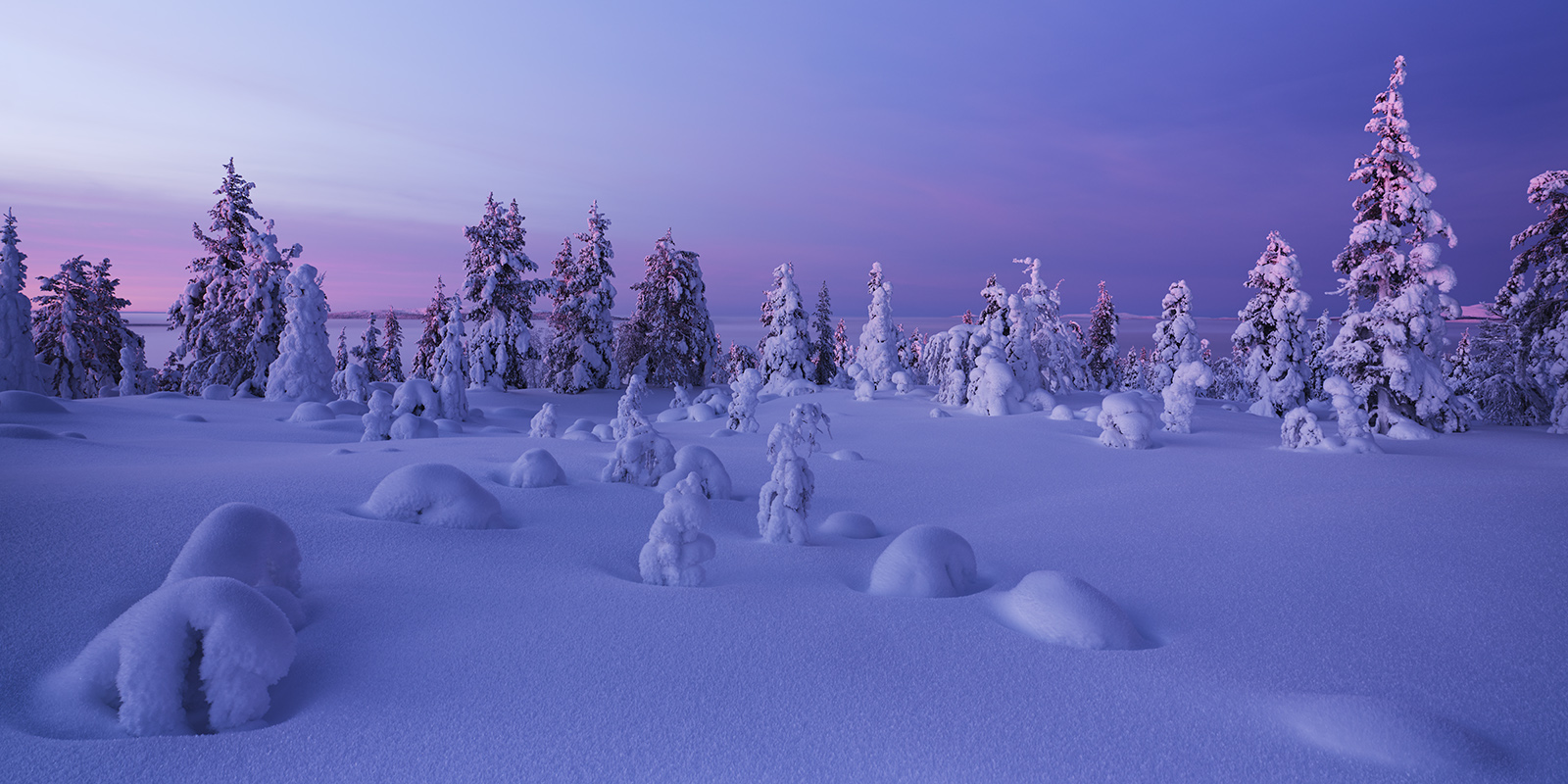 © MICHAEL HOCHFELLNER PHOTOGRAPHY