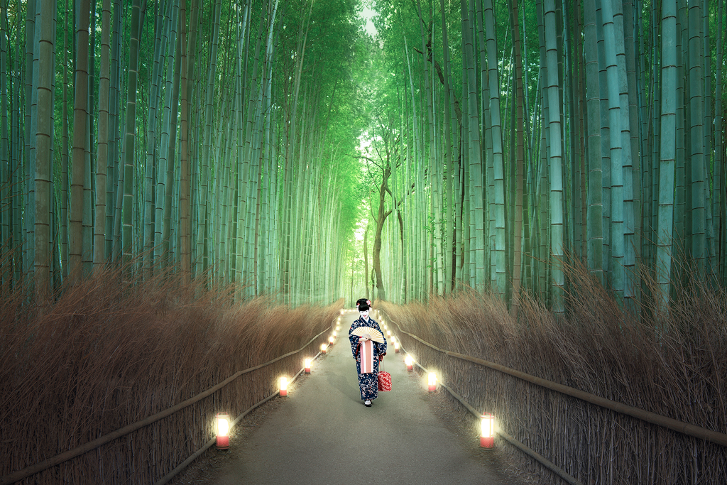 Photoshop & KI: Dein Einstieg in die Zukunft der Bildbearbeitung − Armin Amano - Photo+Adventure