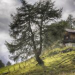 Erfolgreich im Wettbewerb − Anselm F. Wunderer - Photo+Adventure