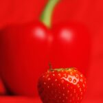 Erfolgreich im Wettbewerb − Anselm F. Wunderer - Photo+Adventure