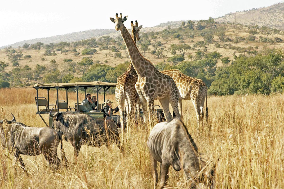 Südafrika: Eine Welt in einem Land − Thomas Mach / Diamir - Photo+Adventure