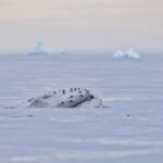 Storytelling durch die Linse: Fotografie die erzählt − Lisa-Kristin Schrötter - Photo+Adventure