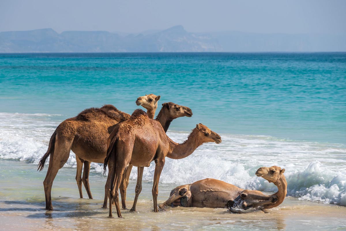 WrFotoschule_ARR_Oman