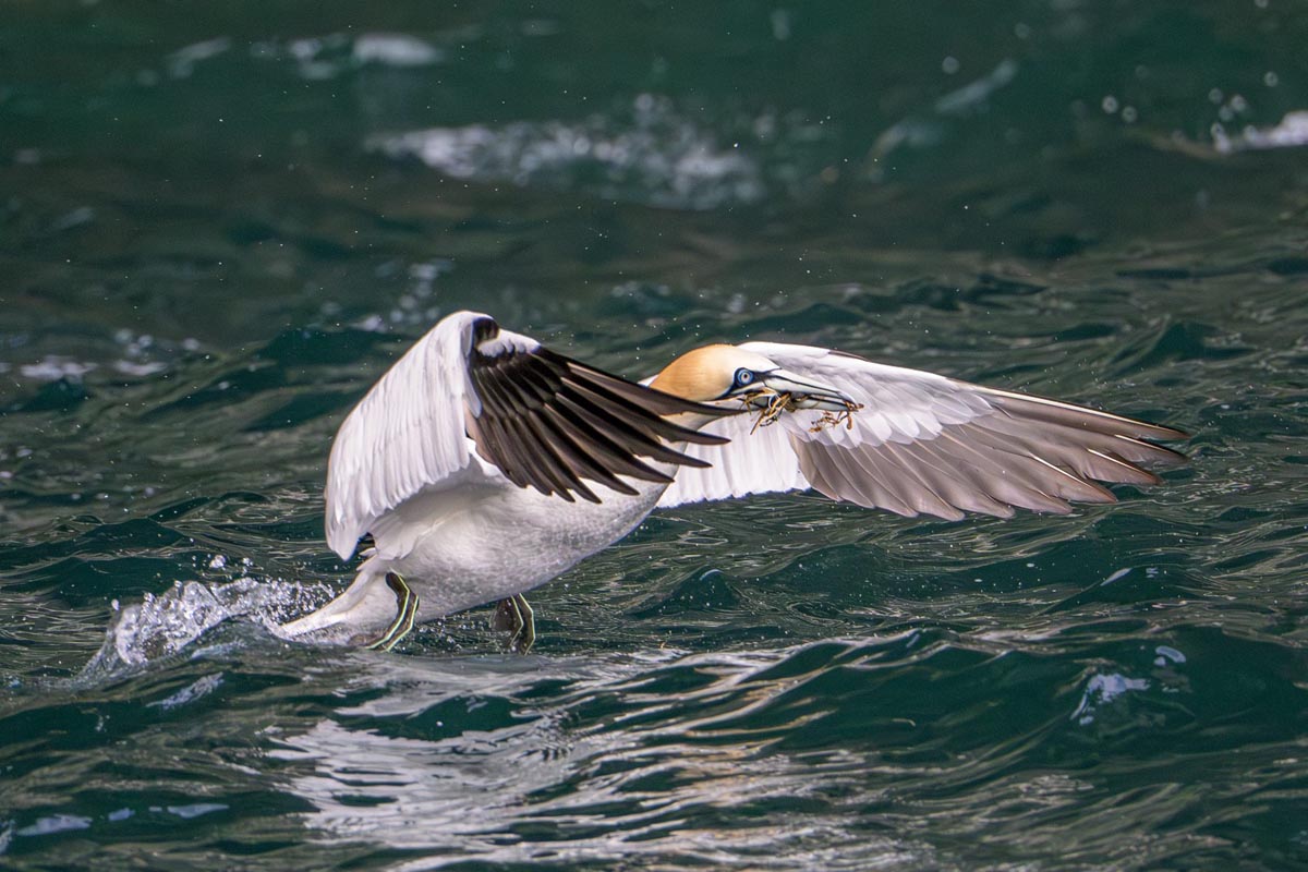 WrFotoschule_ARR_Orkney_2