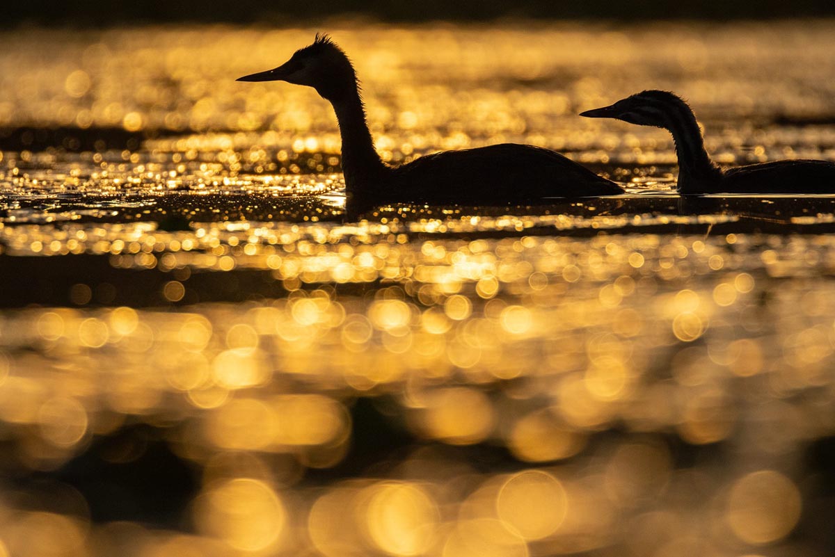 WrFotoschule_Naturfotografie_2