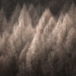 Landschaftsfotografie anders sehen - Photo+Adventure