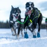 Reisefotografie mal anders - Bildaufbau und ungewöhnliche Perspektiven - Photo+Adventure